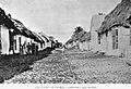 Flores1897a