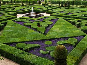French Formal Garden in Loire Valley