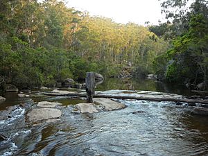 Georges River Facts for Kids