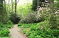 Garden in the Woods - IMG 2462