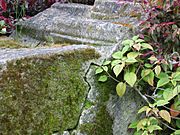 Detail of a junction between two mossy and weathered stones, cut precisely to join together with a long notch in one mated with a long spline in the other.