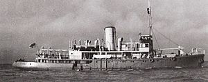 HMS Castle Harbour at sea