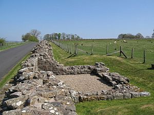 Hadrian's Wall and Turret 49b (Birdoswald) - geograph.org.uk - 1357791