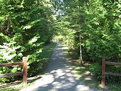 Harrisville state park path 02