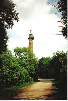 Hawstone Park, near Weston, Shropshire - geograph.org.uk - 278485