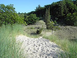 Indiana Dunes-State-Park-02