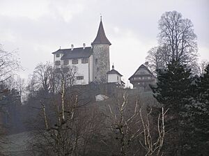 Kriens Schloss Schauensee