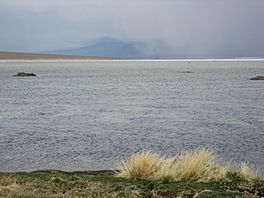 Laguna Santa Rosa, Nevado Tres Cruces National Park.jpg