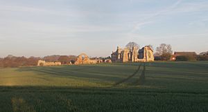 Leiston Abbey at dawn (distance)