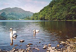 A lake with swans on it, surrounded by hills