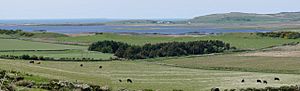 Loch Gorm - Isle of Islay - geograph.org.uk - 1362011