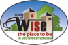 Official logo of Wise