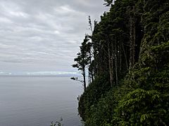 Looking North from Tow Hill, Haida Gwaii