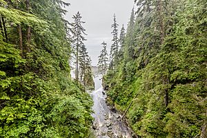 Loss Creek from suspension bridge on Juan de Fuca Trail, Vancouver Island, Canada 10