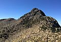 Mt. Wrightson summit