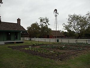 Nash Farm 3