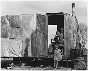 On Arizona Highway 87, south of Chandler. Maricopa County, Arizona. Children in a democracy. A migra . . . - NARA - 522528