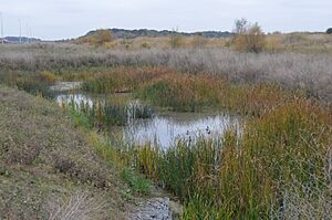 Orton Pit 7
