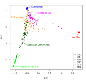 PCA of Colombian, Mexican-American, Puerto Rican and Native American