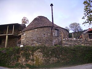 Palloza Cantexeira