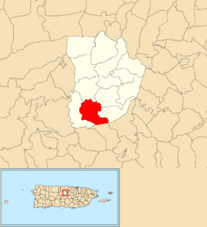Location of Pasto within the municipality of Morovis shown in red