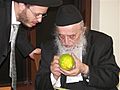 PikiWiki Israel 9435 Rabbi Bergman examines a students citron