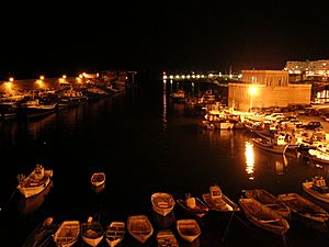 Ametlla de Mar harbour at night