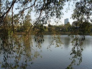 Quebec, Londrina - PR, Brazil - panoramio (2)