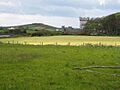 Quintin Castle - geograph.org.uk - 580642