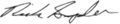 Rick-snyder-sigsvg