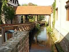 Rivière et pont (Molsheim)