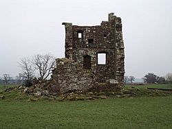 Ruined Tower - geograph.org.uk - 596231.jpg