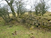 Ruins if Bank of Giffen Farm, near Barrmill