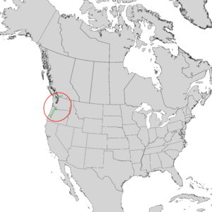 Salix sessilifolia range map 1.png