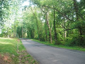 Scrabble, VA - road in the woods