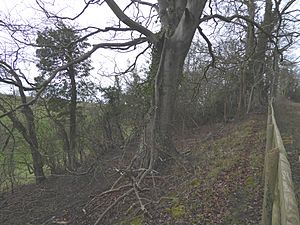 Sheep's Bank (2).jpg