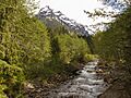 South fork Sauk River at Monte Cristo 2014-05-31