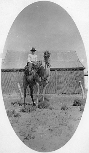 StateLibQld 2 161803 Police Constable William Patrick Boyle mounted on a camel, Birdsville, 1927