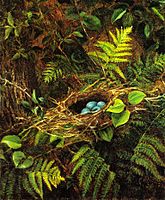Still Life with Robin's Nest by Fidelia Bridges