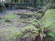 Te Wairoa - 20110906 (2)