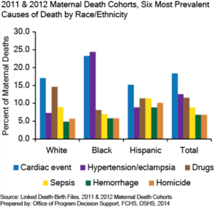 Texas 2011-2012 Maternal Death Cohorts - Six Most Prevalent Causes of Death by Race-Ethnicity