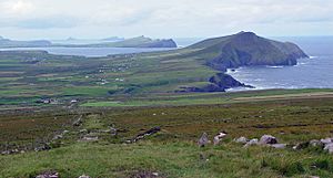 The Dingle Way - geograph.org.uk - 921111