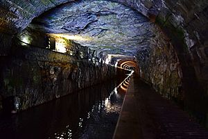 The Falkirk Tunnel on the Union Canal. (geograph 6327455)