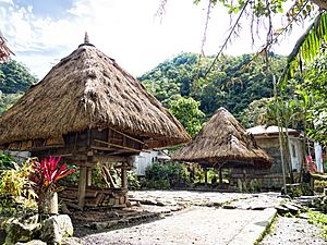 Traditional stilt houses in Bangaan of the Ifugao people