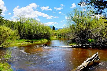 Trout Creek (Lake Tahoe).jpg