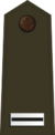 US Army W-5 (2020).svg
