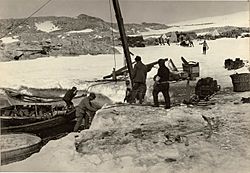 Unloading supplies at Cape Denison, 1911-1914 (6438929857)