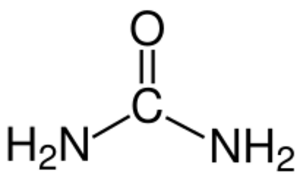 Urea Structural Formula V2