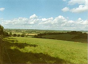 View of Ambley Wood south of Upton - geograph.org.uk - 23051.jpg