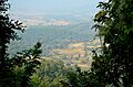 Village in Jungle